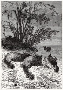 De nombreux animaux à fourrures regardaient les voyageurs (page 229).